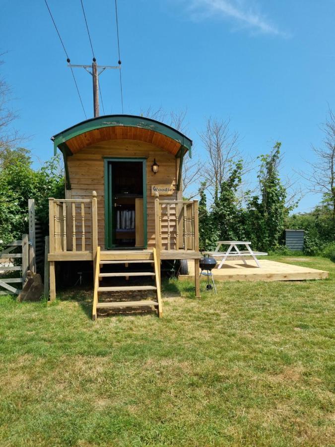 Woodie The Shepherds Hut - Sleeps 4 شيشستر المظهر الخارجي الصورة